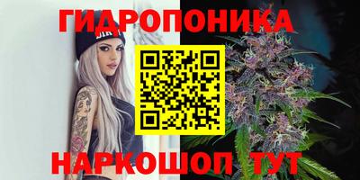 МДПВ Краснознаменск